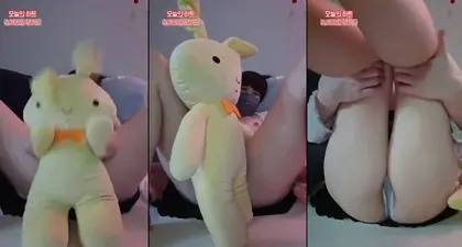 KBJ-24041107 KBJ24041107_58588253_20231208