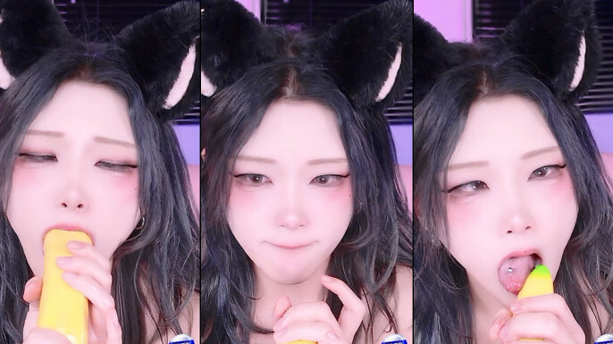 KBJ-24122659 KBJ24122659_TWINGO1125_20241101